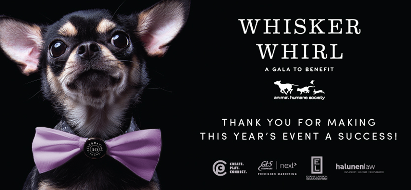 Whisker Whirl 2016